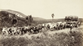 Timeline: History of Canterbury