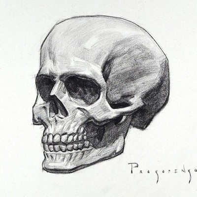 Timeline: Charles Darwin and Evolution