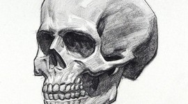 Timeline: Charles Darwin and Evolution