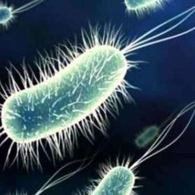 Timeline: Microbiología