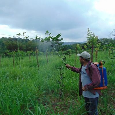 Timeline: Campo y lucha en el Desarrollo Rural
