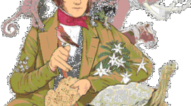 Timeline: Darwin's Observations