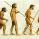 Evolucion (2)