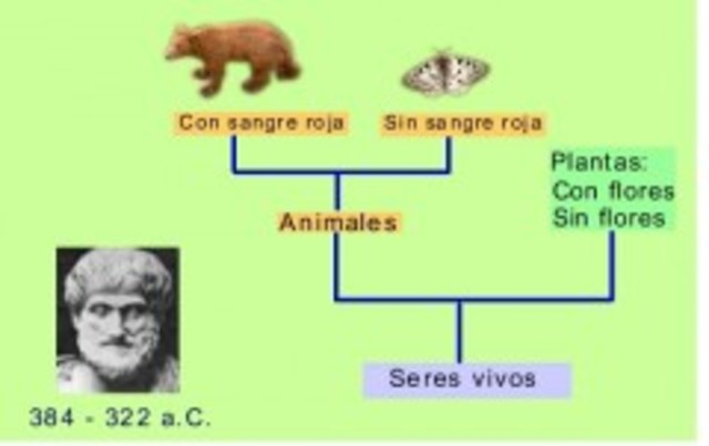 what are the 5 stages of labor