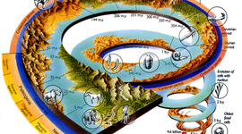 Timeline: The Evolution of Earth (In Millions of Years)