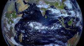 Timeline: History of life on Earth