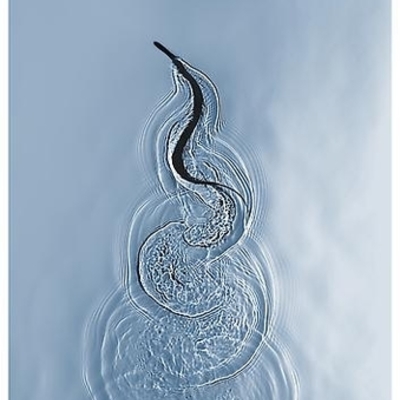 Timeline: India: From the Mughal Rule to the British Rule