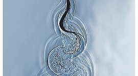 Timeline: India: From the Mughal Rule to the British Rule