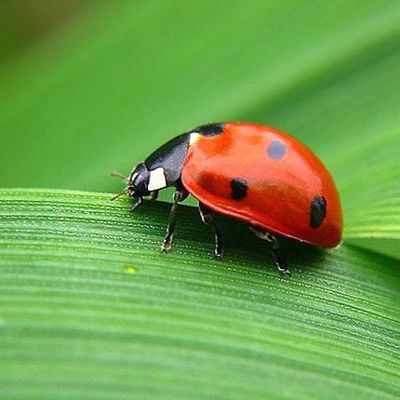 Timeline: historia del uso de los compuestos quimicos