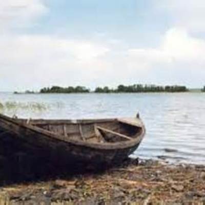 Timeline: social studys