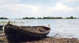 Timeline: social studys