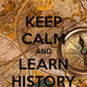 Keep calm and learn history 273
