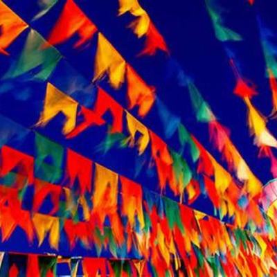 Timeline: Seu Diário Junino