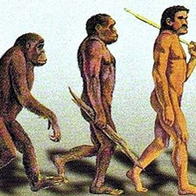 Timeline: DEL PRIMATE AL HOÍMINIDO
