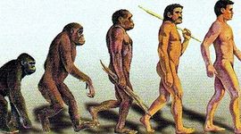 Timeline: DEL PRIMATE AL HOÍMINIDO