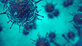 Timeline: Historia de la epidemiologia