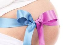 Timeline: Ser niño o niña: Concepción de infancia como categoría social – histórica