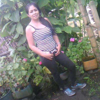 Timeline: Linea de tiempo marco legal del servicio farmacéutico- Maria Fernanda guerrero