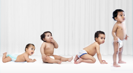 Timeline: Baby growth