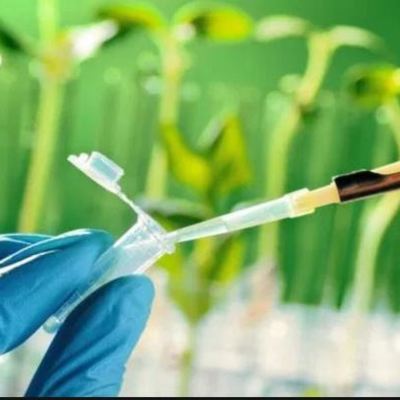 Timeline: Historia de la Biotecnología