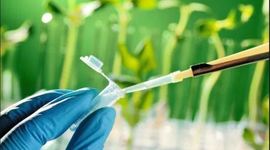 Timeline: Historia de la Biotecnología