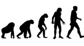 Timeline: Darwin's Observations