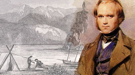 Timeline: Beagle Voyage