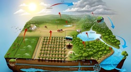 Timeline: Historia de la Hidrología