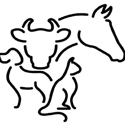 Timeline: Historia de Veterinaria