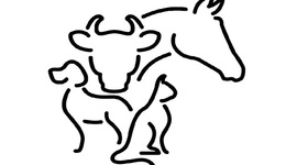 Timeline: Historia de Veterinaria