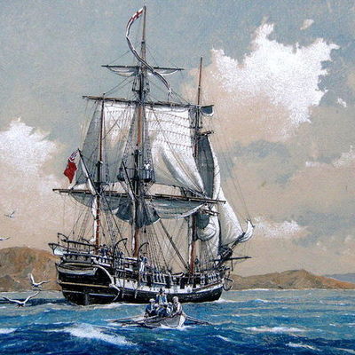 Timeline: Beagle's Voyage