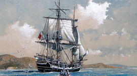 Timeline: Beagle's Voyage