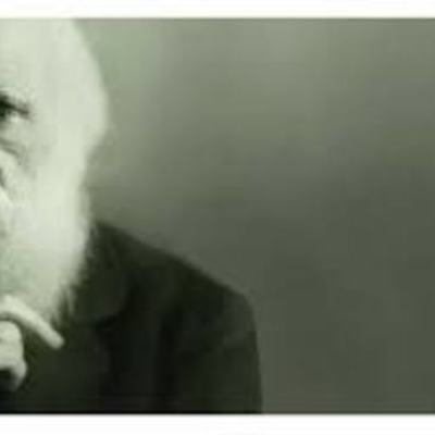 Timeline: La primera transformación