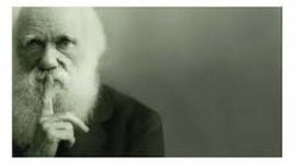 Timeline: La primera transformación