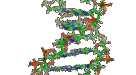 Timeline: Ácidos Nucleicos: Científicos