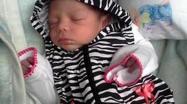 Timeline: Mi Muñeca