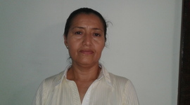 Timeline: Linea de tiempo marco legal del servicio farmacéutico - Luz Elena Vinasco Batero - Cali, Valle