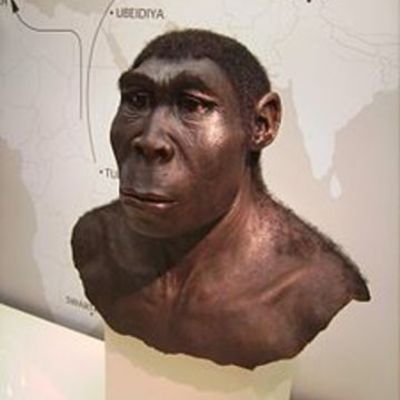 Timeline: LINEA DE TIEMPO