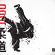 Blitz sport judo wallpaper 1920x1440