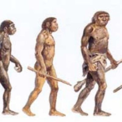 Timeline: Las Etapas de la Prehistoria (Paula V. Luna B. 9-I)