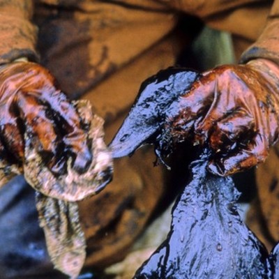Timeline: After 25 years, Exxon Valdez oil spill hasn't ended