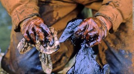 Timeline: After 25 years, Exxon Valdez oil spill hasn't ended