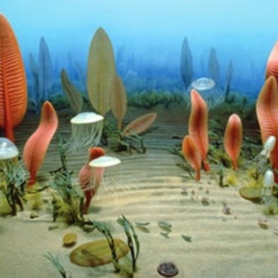 Timeline: Ediacaran period