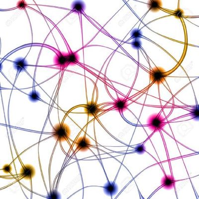 Timeline: Historia del cerebro - Karoll Cipagauta