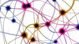 Timeline: Historia del cerebro - Karoll Cipagauta