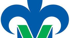 Timeline: dispositivos moviles