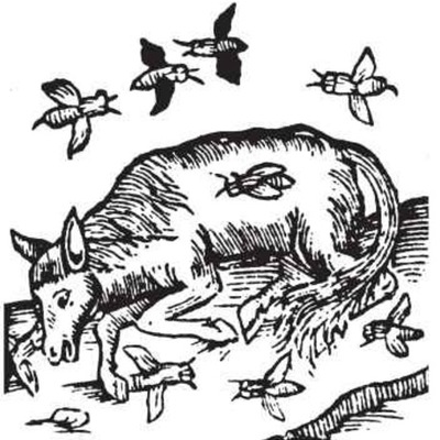 Timeline: Spontaneous Generation Timeline