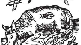 Timeline: Spontaneous Generation Timeline