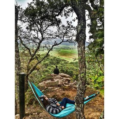 Timeline: Linea del tiempo profesional