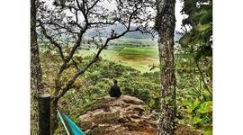 Timeline: Linea del tiempo profesional